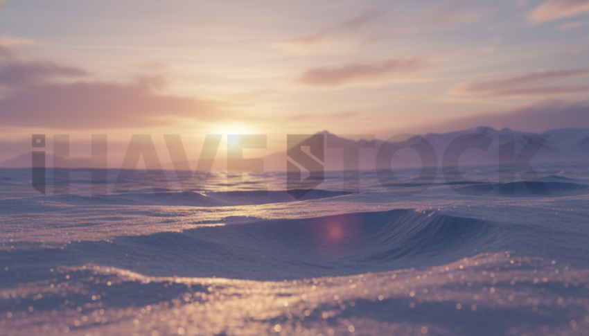 Sunset Light On Snowfield   Winter & Snow N&L SNW 0067