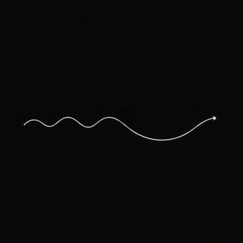 Innovation Roadmap — White On Black