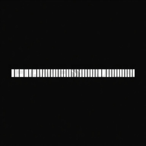 Progress Bar Fill — White On Black