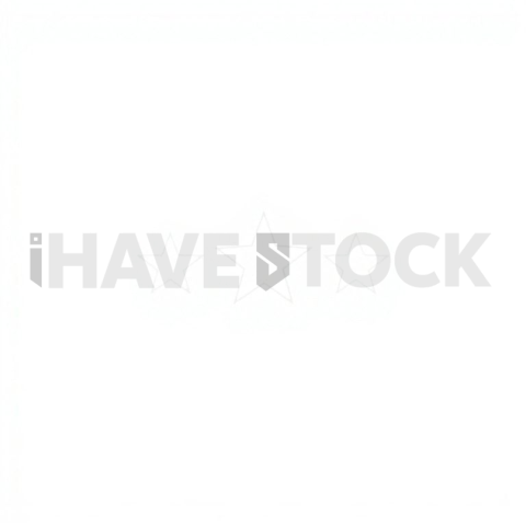 Star Rating Thin Stroke Symbol