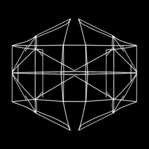 Wireframe Grid — White On Black