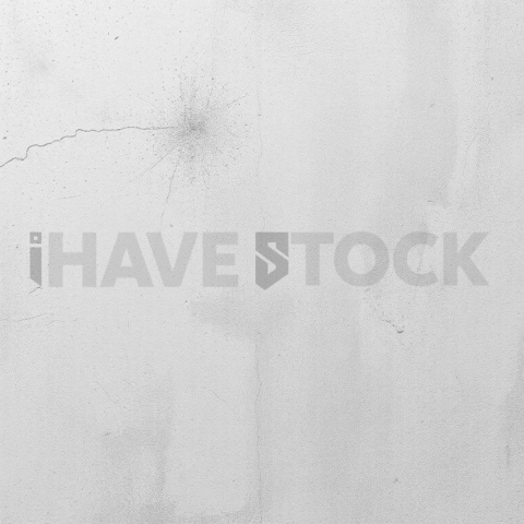 Plaster Finish Premium Grain Background