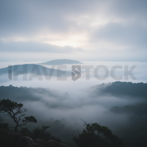Misty Hills With Fog   Weather & Atmosphere N&L ATM 0092