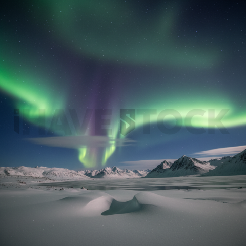 Aurora Borealis Over Snow   Winter & Snow N&L SNW 0018