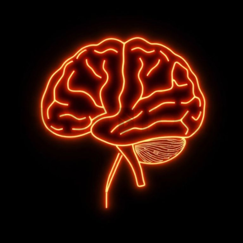 AI Brain Circuit Icon Amber Subtle Glow Dark Line Icon 2025 – 8K