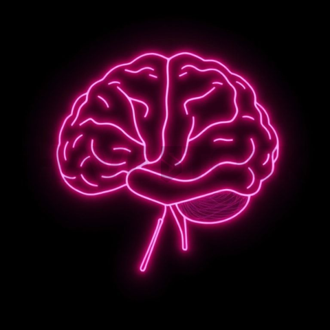 AI Brain Circuit Icon Magenta Subtle Glow Dark Line Icon 2025 – 8K